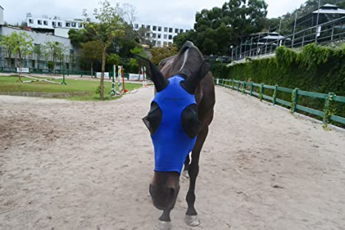 Super Comfort Horse Fly Mask Elasticity Fly Mask With Ears Uv Protection For Horse(L,Teal) #TOP1