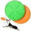 Green & Orange