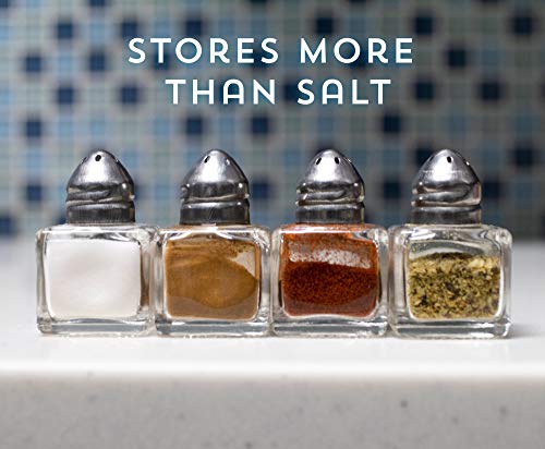 Back Of House Ltd. Salt & Pepper, Spices, Seasonings Shakers - Stainless Steel & Glass Restaurant Home Kitchen - 12 Mini #TOP3