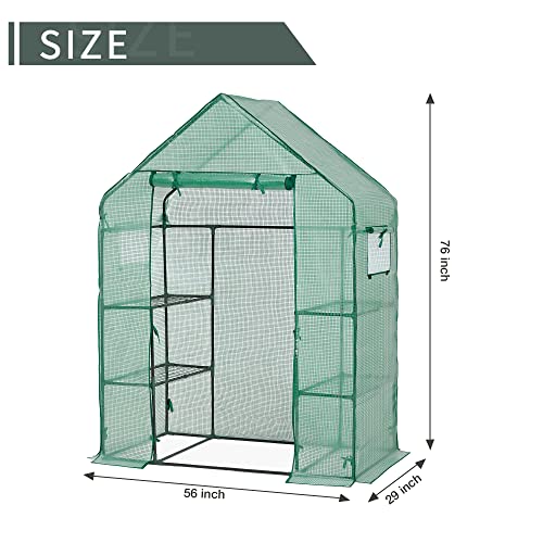 Meetleisure 57 X 29 X 77 Inches Mini Greenhouse With Shelves And Durable Pe Cover, Easy Set Up Greenhouse Planting Kit With Roll-Up Windows Usable For Winter, Green #TOP2