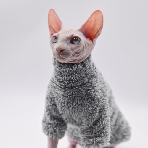 Sphynx Roupas para gatos roupas quentes para gatos outono e inverno sem pelos roupas para gatos Devo