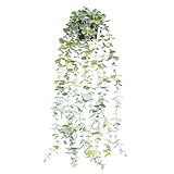 ECBEITF Künstliche Pflanze Hängend Eukalyptus 22 Inch, Hängepflanze...