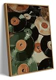 Framed Vinyl Records Wall Decor, Music Wall Art, Mid Century Modern 16x24in