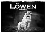 Löwen schwarz weiß (Wandkalender 2023 DIN A3 quer), Calvendo Monatskalender