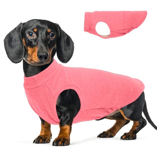 Image of Stretch Fleece Dachshund Sweater for Chilly Days, Rosered, L | Warm Sleeveless Dachshund Clothes, Lightweight Breathable Pullover Sweatshirts for Outdoor Movement, Wiener Dog Clothes