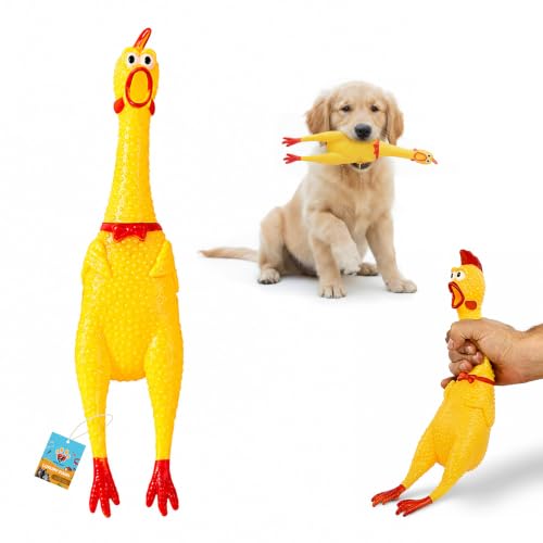 Image of Hen Chicken Squeaky Dog Toy - Large Pack of 1