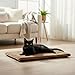 Jorzer .Self Warming Pet Mat 24x18 inch Soft Cozy Self Heating Cat Pad Machine Washable Cat Bed for Indoor S PET_Supplies.