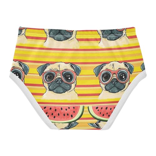 Wusikd Pug Dogs Girls' Underwear Cotton Big Eyes Girls Briefs Soft Toddler Underwear 2T2