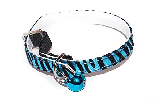 Pet Palace® ("BOLD azul)" gato de la selva collar "gatito gato con las bandas de Jaguar para los gatos que vivent sobre el lado salvaje Plus UE juguete hierba de gato Mignon gratis.
