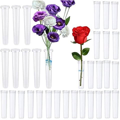 Wasserröhrchen für Blumen Blumenröhrchen Kunststoff Reagenzgläser für Blumen Wiederverwendbare Transparent Orchideenröhrchen für Blumenarrangements Pflanzen (Groß 15Stk, Klein 55Stk) Cover