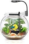 Nubios Betta Bowl Kit de démarrage avec filtre à pompe et LED Éclairage haute transparence et facile à nettoyer, également adapté aux autres petits poissons. USB Plug, Disponible en 2 Tailles, Décor NOT Inclus (1 - Oui. Gallon.