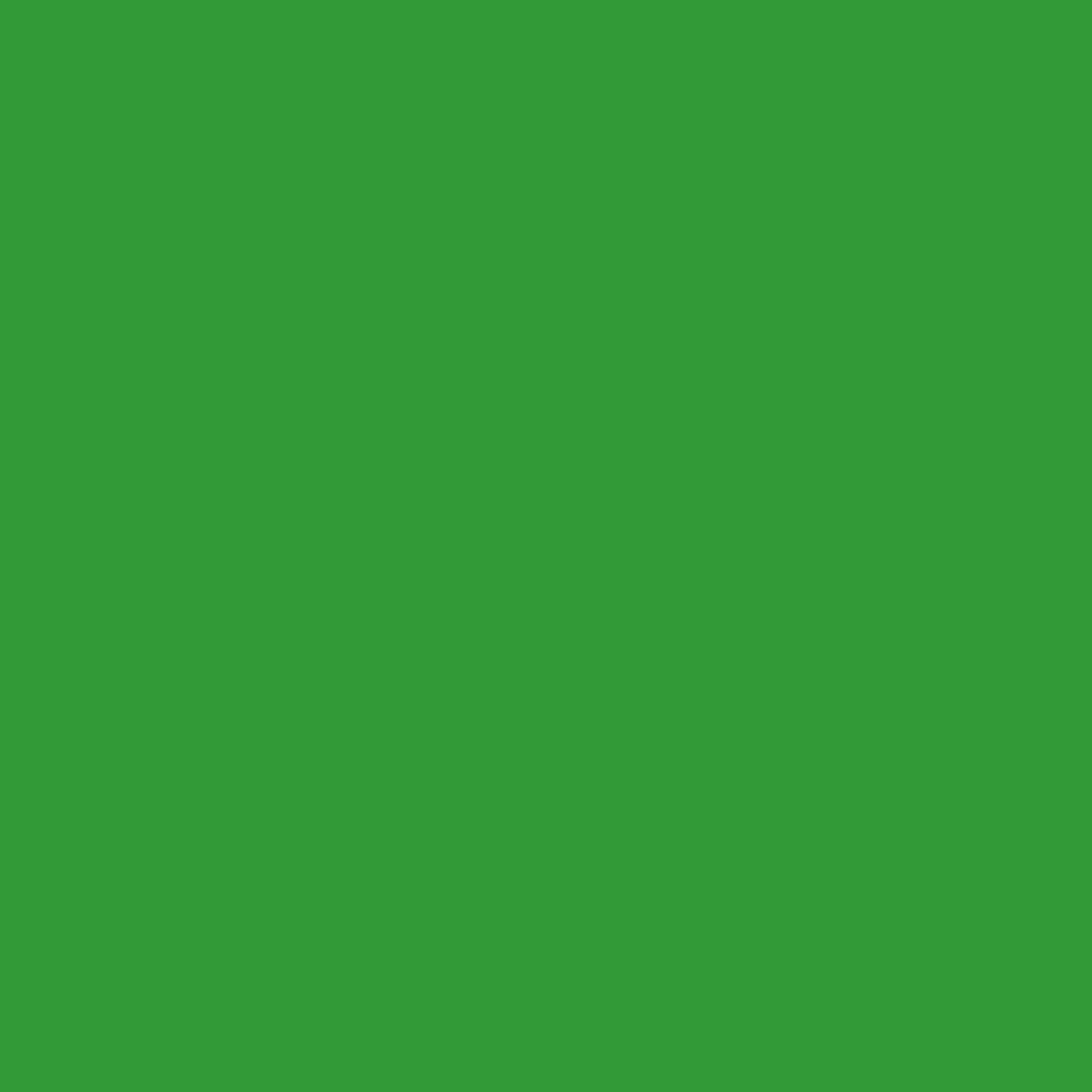 Joby Seamless Creator Fondo Fotográfico de Papel, Telón de Fondo Fotográfico para Vídeos, Streaming, Telón de Fondo para Sesiones Fotográficas, Atrezzo Fotográfico, 1,35X11m, Verde (Green Light Go)