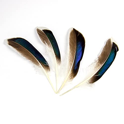 50Pcs Natural Feathers For Crafts 4-6Inch（10-15Cm）Diy Carnival Halloween Handwork Clothing Costumes Hair Hats Crafts Home Wedding Party Decoration Duck Feathers #TOP1