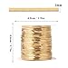 33 Feet Gold Snake Chains Roll, 2mm 18K Gold PVD Plated 304 Stainless Steel Flat Snake Chain Bulk Spool for Jewelry Making DIY Craft
