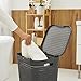 Rotho Country Wäschesammler mit Deckel in Rattan-Optik, Kunststoff (PP) BPA-frei, anthrazit,