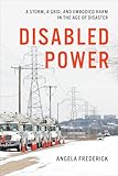 Disabled Power (Health, Society, and Inequality)