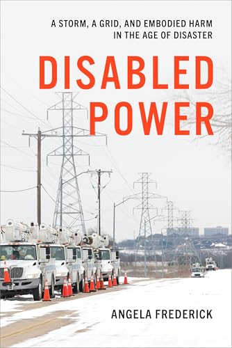 Disabled Power (Health, Society, and Inequality)