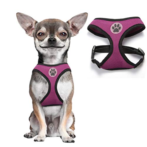 BINGPET Small Dog Harness - Breathable Mesh Puppy Cat Harnesses - No Pull Adjustable Dog Harness Dog Vest Harness for Small and Medium Dogs BINGPET Small Dog Harness - Breathable Mesh Puppy Cat Harnesses - No Pull Adjustable Dog Harness Dog Vest Harness for Small and Medium Dogs
