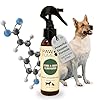 PAWFUME Stain & Pet Urine Odor Eliminator, 1-Pack – Removes Impurities in Seconds – Enzymatic Formula, Quick-Dry Action, & Eco-Friendly Ingredients – Upholstery, Fabrics, and Carpet Cleaner Spray