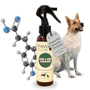PAWFUME Stain & Pet Urine Odor Eliminator, 1-Pack – Removes Impurities in Seconds – Enzymatic Formula, Quick-Dry Action, & Eco-Friendly Ingredients – Upholstery, Fabrics, and Carpet Cleaner Spray