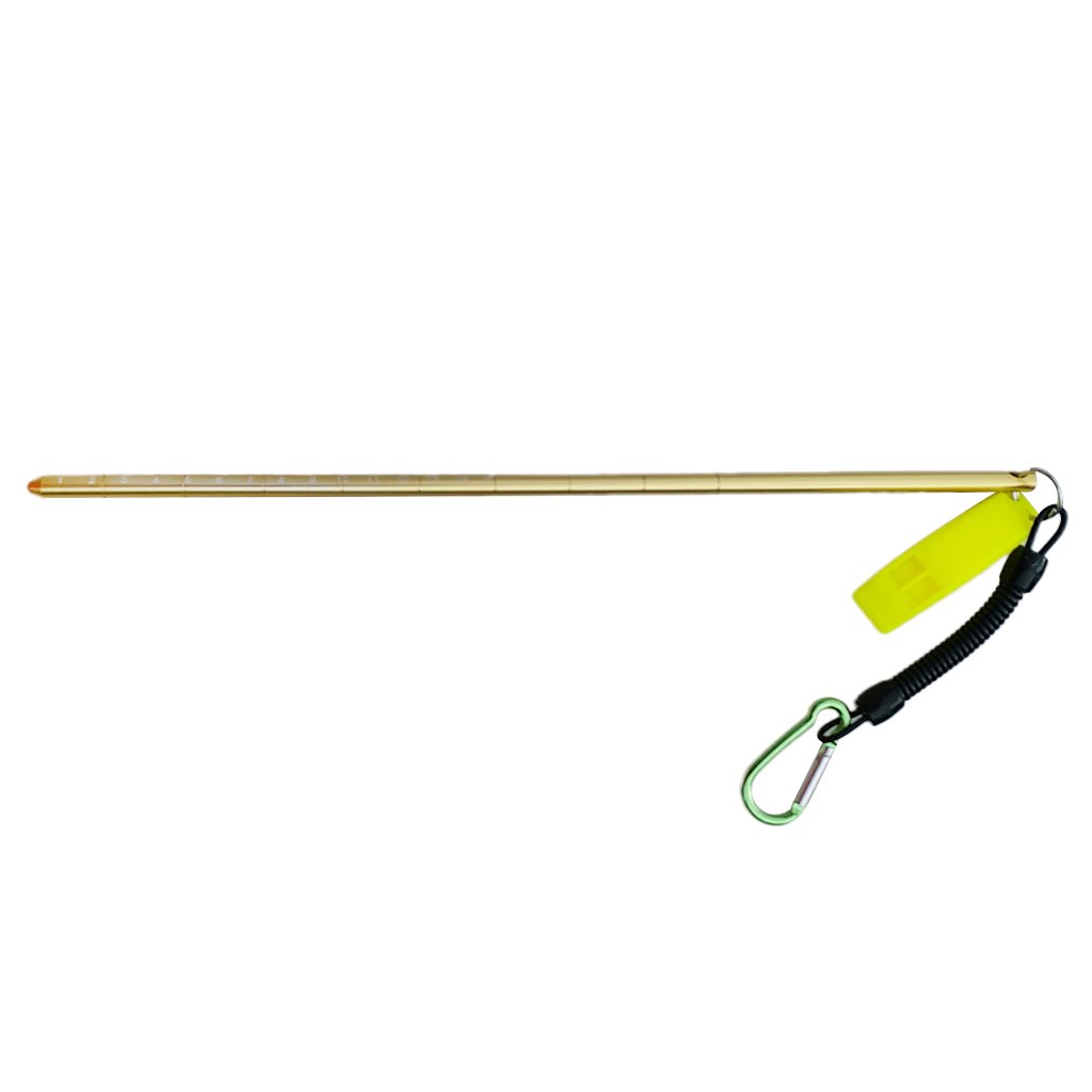 D DOLITY 34cm Aluminium Riffstab Unterwasser Tauchen Zeigestab mit Spiralkabel - Gold