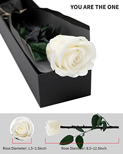 Image of White Flowers for Delivery Prime, Preserved White Roses Flower Gifts for Women, Real Roses Single Rose Gifts for Her, Mom Birthday Gifts from Daughter, Valentines Flowers