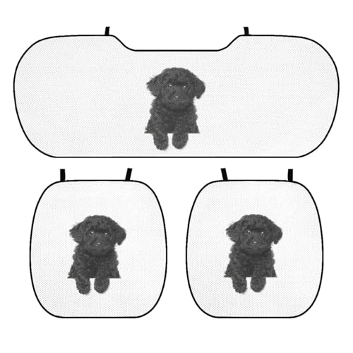 Ԃ̃ACXNbV J[pi ubN gCv[h V[gJo[3gZbg V[gNbV ԗpȃV[g ⊴zc h~ y/ʎԓKp 蕨 lGėp