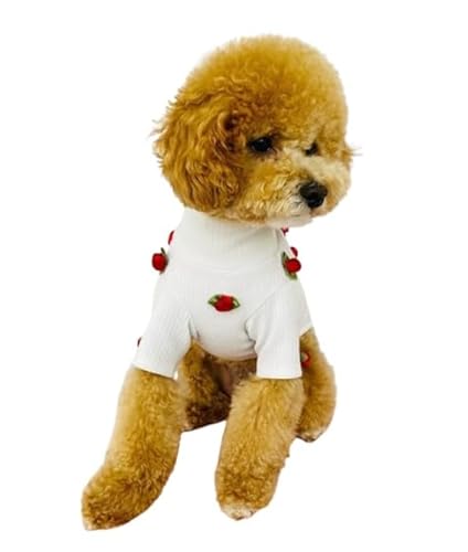 Handmade Pet Sweater with Roses for dog or cat (Large)