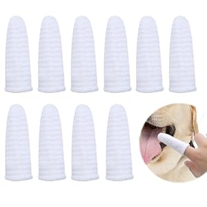 10 Pièces Brosse à Dent Chien,brosse a dent chat, Brosse à Dents à Doigt animal Familier, Brosses D&rsquo;hygiène Dentaires de Brosse à Dents, Pour le Nettoyage et le Soin dents