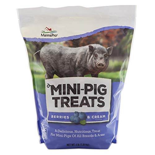 Manna Pro Mini-Pig Treats, Berries...