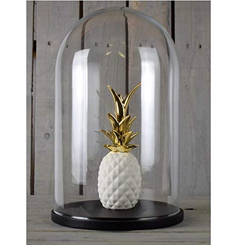 EMH Domo circular de cristal soplado hecho a mano con base negra, 40 x 25 cm