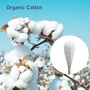   Original-Big-Cotton-Buds-for-Pets--Premium-Cat-and-Dog-Ear-Cleaner-Cotton-Swabs--Soft-Absorbent-Cleaning-Ear-Bud-with-Long-6-Inch-Wood-Handle-200pcs-Large