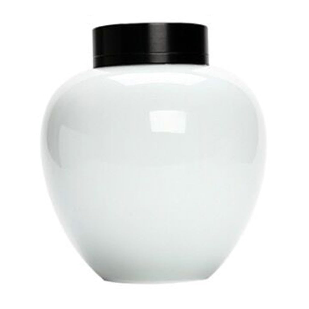 BASXDRFXZ Airtight Tea Container Ceramic Tea Jars Sealed Storage Empty Single Packaging Boxes Kitchen Spice