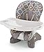 Fisher-Price Spacesaver High Chair, Luminosity