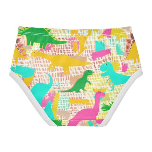 Colorful Cute Dinosaur Toddler Girls's Underwear 2T 202c12022