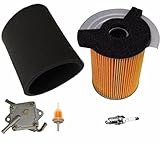 Auto Express Gas Golf CART Tune UP KIT Yamaha G14 300CC 4 Cycle 1995 1996 Filters & Fuel Pump