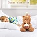 Imagen de YUPDFGB Ositos de Peluche