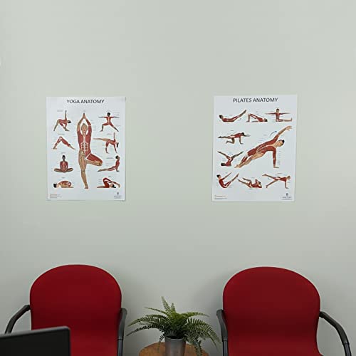 Image of Anatomy Lab Yoga, Pilates Anatomy Poster Set, 2 PACK LAMINATED | 17.3 x 22.5 Inches, Body Chart, Premium Wall Pilates Exercise Chart and Yoga Posters for Wall