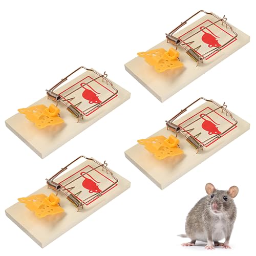 4 Pcs Mata Ratas Potente, Reutilizable Grandes Trampas para Ratas, Cepos para Ratas Alta Sensibilidad Respuesta Rápida Seguro Efectivo, Profesional Ratoneras para Casa Exterior y Interior