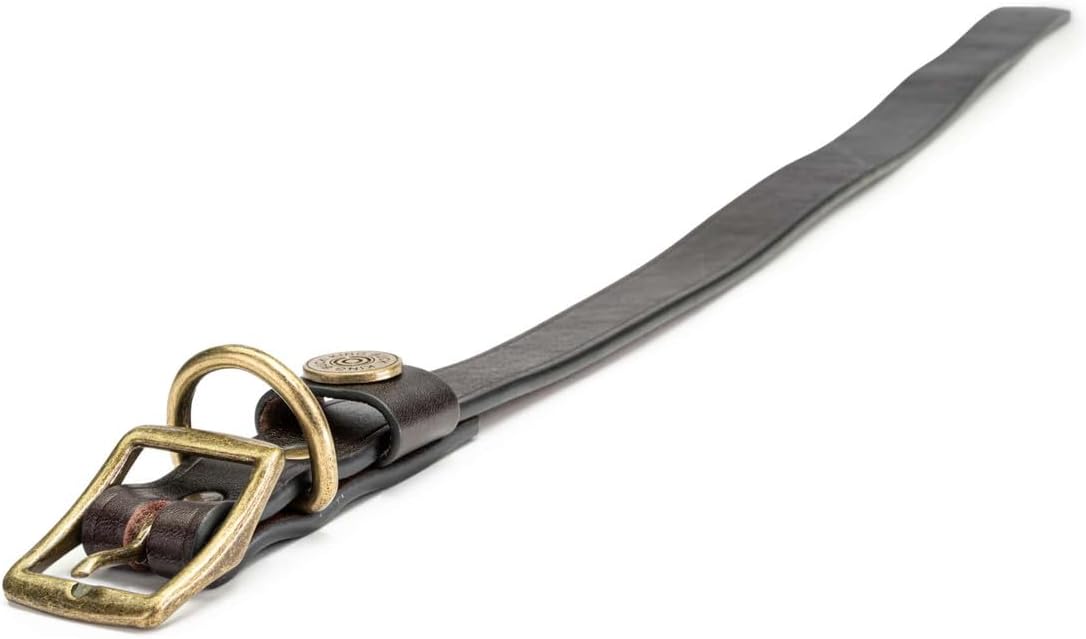 King Buck Premium Leather D Ring Dog Collar, Leather, S/M