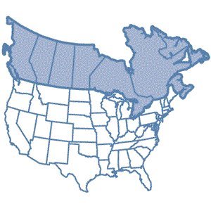 Garmin MapSource TOPO Canada