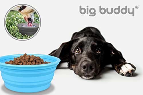 Big buddy® - 2x Ciotola in Silicone, Ciotola per