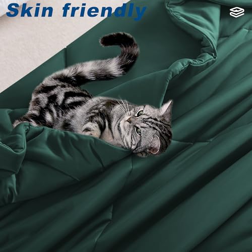 Image of Cooling Comforter Queen Size, Double-Sided Cold Tech Quilted Bed Comforters Cooling Blanket for Hot Sleepers, Breathable Lightweight Summer Bedding, All-Season Ice Blanket, Emerald Green