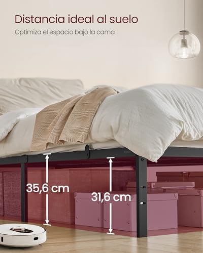 Miniatura 2 de 