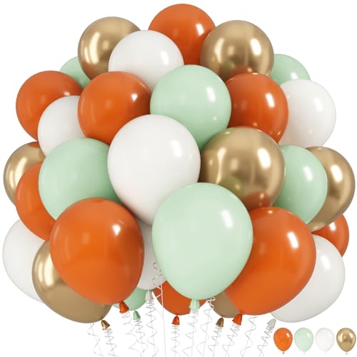 Image of Fall Balloons Set, 12 Inch Thanksgiving Balloons, Retro Burnt Terracotta Rust Orange Dusty Sage Mint Green White Metallic Gold Latex Balloon for Thanksgiving Autumn Harvest Fall Birthday Decorations