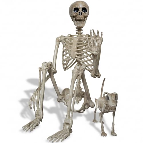 Bstalpine Esqueleto Humano tamaño Real 165 cm con Esqueleto de Perro – Esqueleto Halloween con articulaciones móviles, Esqueleto Humano Espeluznante para Decoracion Halloween