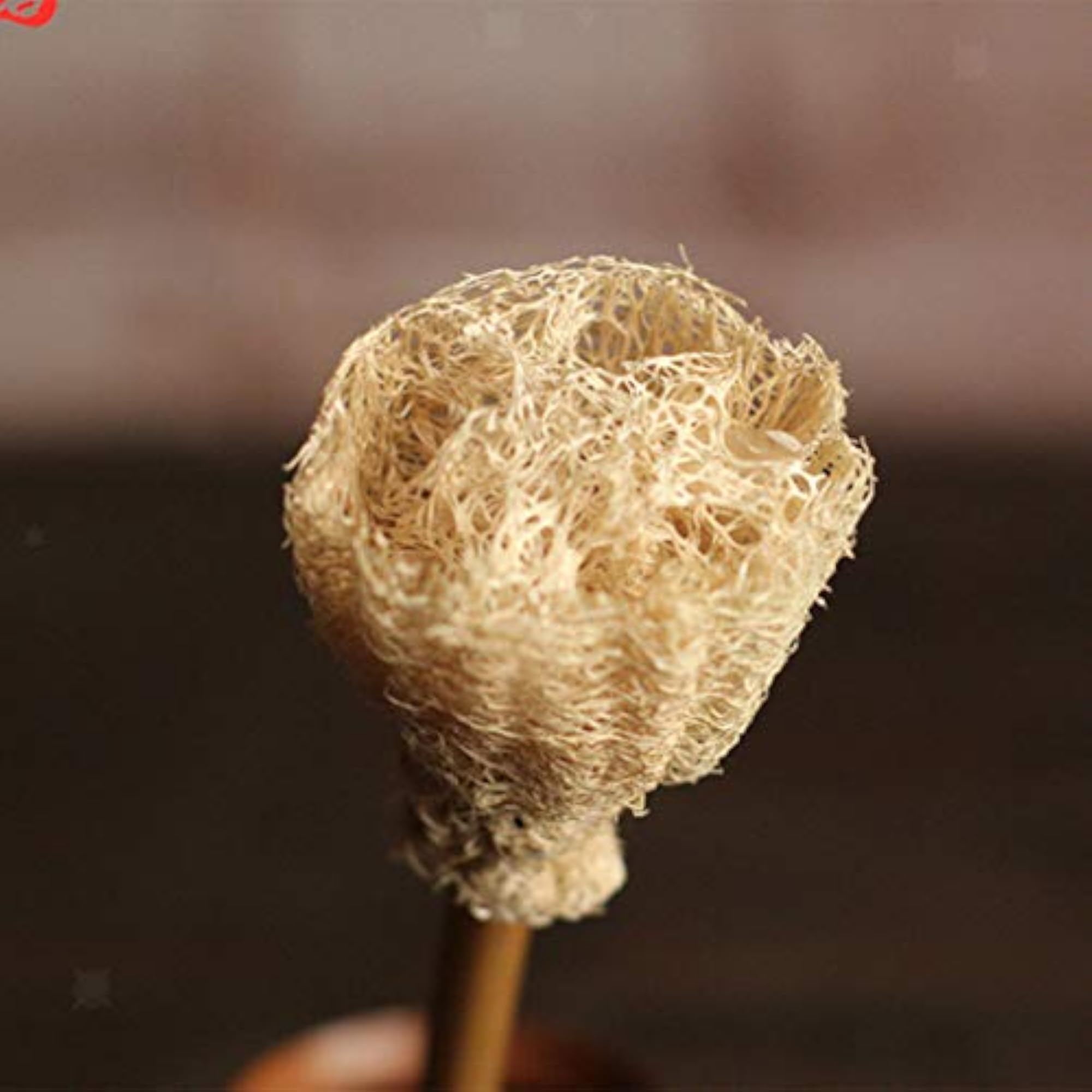 Spout Brushes for Cleaning Teapots and Bottles