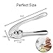 Garlic Crusher, Garlic Mincer to Press Clove and Smash Ginger Handheld Zinc Alloy Rust-proof Tool for Kitchen