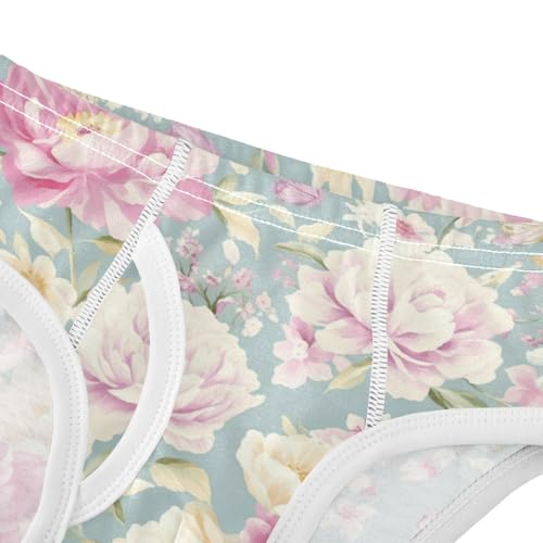 Wusikd Peonies Roses Boys' Underwear Cotton Butterflies Boys Briefs Soft Toddler Underwear 2T4