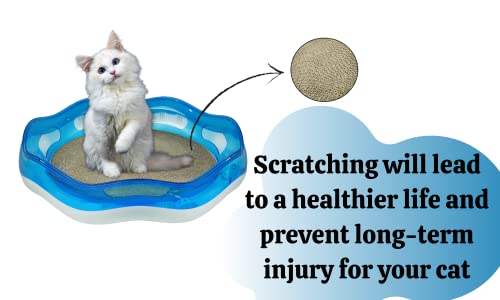 Image of Foodie Puppies 2-in-1 Cat Play Den & Scratching Board | Interactive Ball Track Toy with Catnip | Covered Cat House for Indoor Cats & Kittens
